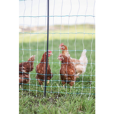 Starkline 164 ft. x 42 in. Standard Electric Poultry Netting at