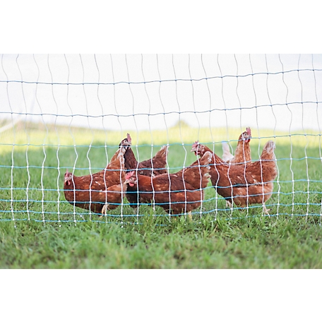 Electric Poultry Fencing - Frequently Asked Questions