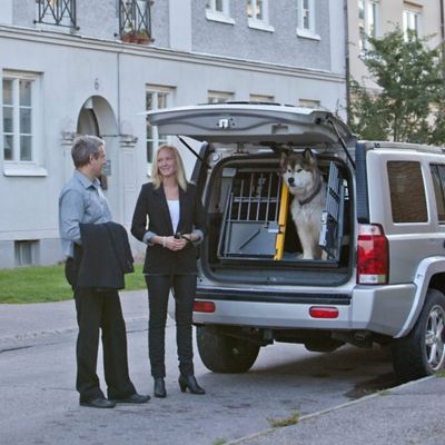 Image showing  3G Variocage Double XX-Large Vehicle Dog Kennel, 40 in. x 29 in. x 41 in.