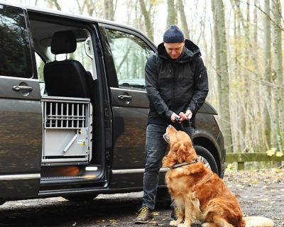 Image showing  Multi-Cage Single-Dog Dog Transport Kennel