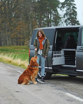 Image showing 3 th 4x4 North America Multi-Cage Single-Dog Dog Transport Kennel, Large