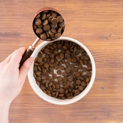 Image showing  All Life Stages Sensitive Skin and Stomach Salmon Recipe Dry Dog Food, 30 lb. Bag