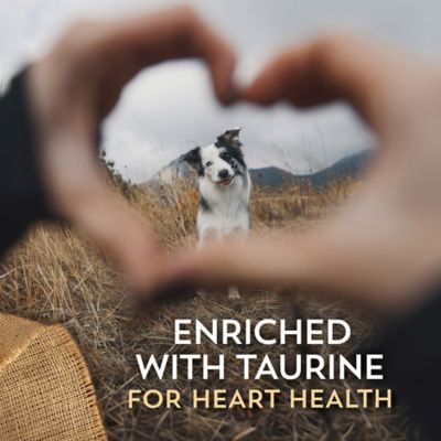 Image showing 5 th Wholesomes All Life Stages Sensitive Skin and Stomach Salmon Recipe Dry Dog Food, 30 lb. Bag