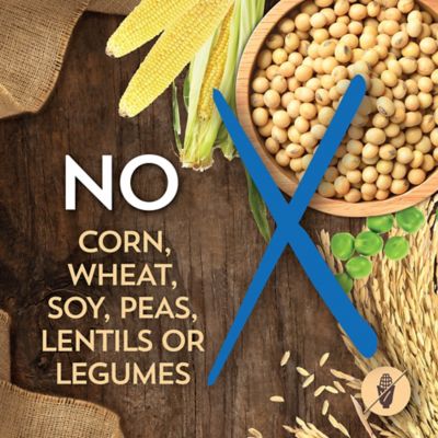 Image showing 6 th Wholesomes All Life Stages Sensitive Skin and Stomach Salmon Recipe Dry Dog Food, 30 lb. Bag