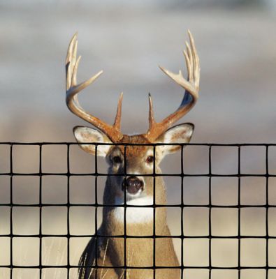 Image showing  100 ft. x 7.5 ft. Deer Fence Pro Garden Fencing, 890 lb. Breaking Load, 1.97 in. Mesh