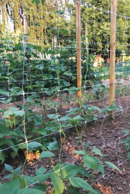 Image showing 6 th Tenax 500 ft. x 10 ft. Hortonova Large Mesh Trellis Netting, 78 lb./ft. Tensile Strength, 5.9 in. x 6.7 in. Mesh