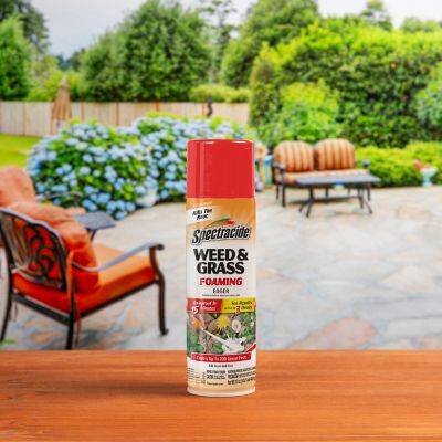 Image showing  Weed and Grass Foaming Edger Weed Killer, 17 oz.