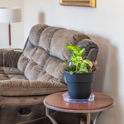 Image showing  Plastic Vinyl Saucer, 12 in.