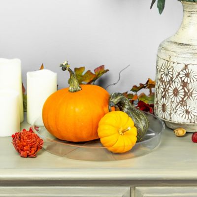 Image showing  Plastic Vinyl Saucer, 12 in.