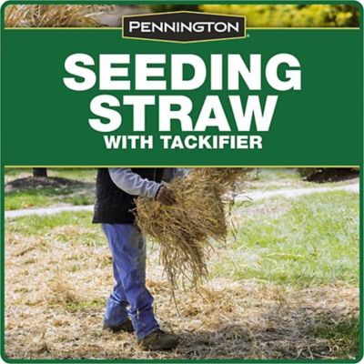 Image showing  2 cu. ft. Seeding Straw
