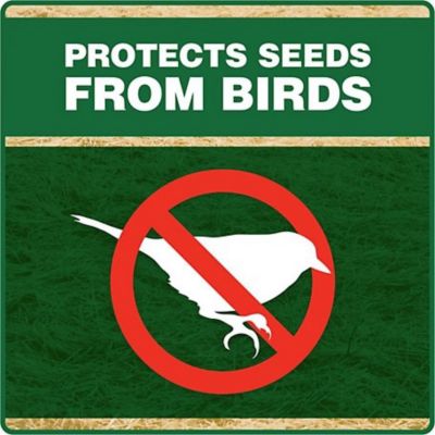 Image showing 6 th Pennington 2 cu. ft. Seeding Straw