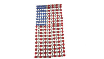 Buddy G's Unisex Wavy Red/White/Blue American Rhinestone Flag Pin