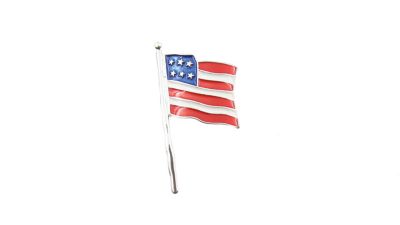 Buddy G's Unisex Small Epoxy Red/White/Blue American Flag Pin