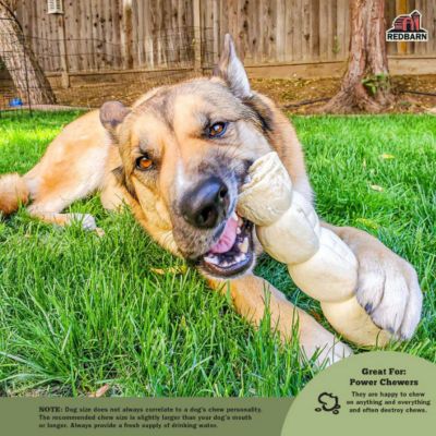 Image showing  Beef Cheek Roll Dog Chew Treat, Large