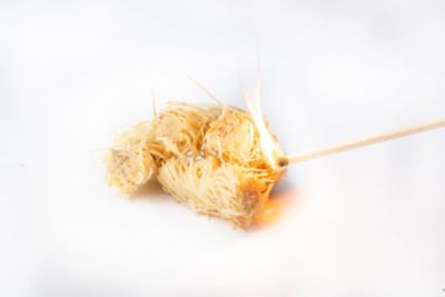 Image showing  All-Natural Tumbleweeds Fire Starters, 16-Pack