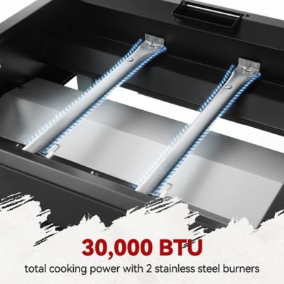 Image showing  2-Burner Propane Gas Flat Top Grill and Griddle, 450 sq. in., Black