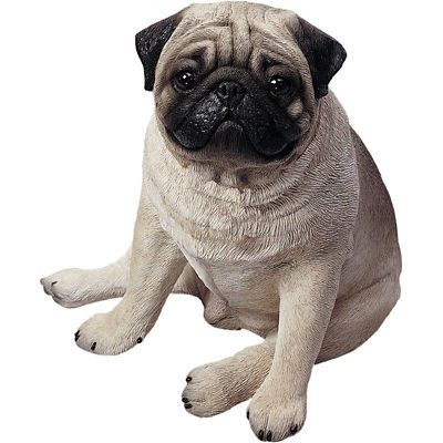 Sandicast Life-Size Fawn Pug Dog Sculpture, 12 in. x 11 in. x 14 in.