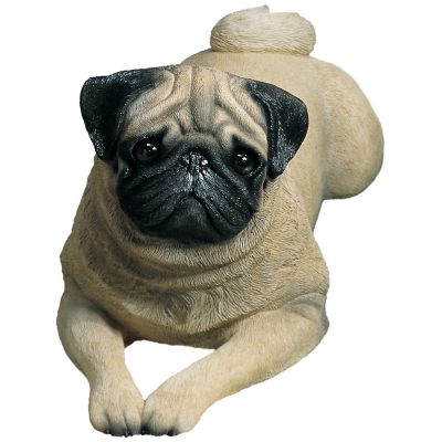 Sandicast Life-Size Fawn Pug Dog Sculpture, 12 in. x 11 in. x 14 in.