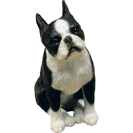 Sandicast Mid Size Boston Terrier Dog Sculpture