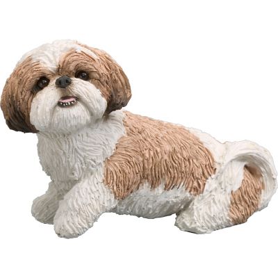 shih tzu dog size