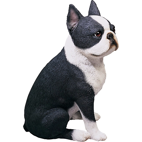 Sandicast Original Size Boston Terrier Dog Sculpture