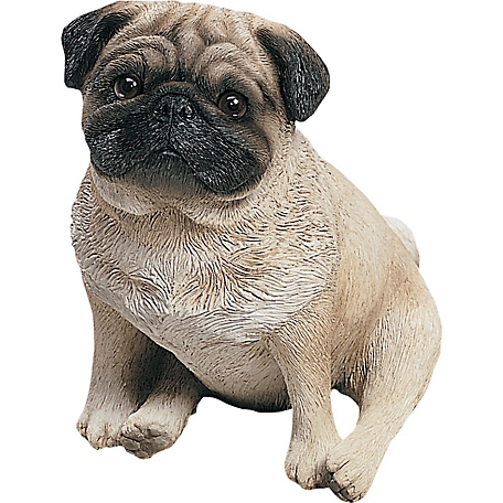 Sandicast Original Size Fawn Pug Dog Sculpture