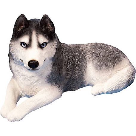 Fri Siberian Husky Dog Compression Pants/Running Tights Running Tights Men Winter