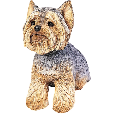 Sandicast Original Size Yorkshire Terrier Dog Sculpture