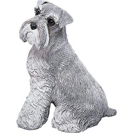 Sandicast Original Size Gray Schnauzer Dog Sculpture