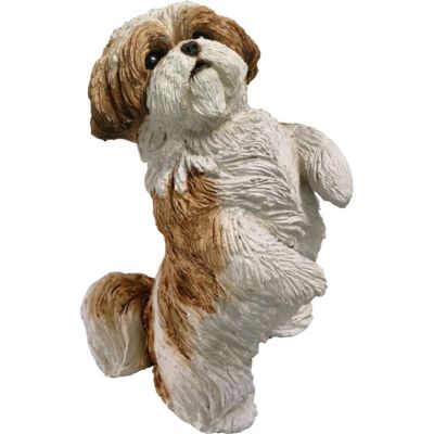 Sandicast Original Size Gold and White Shih Tzu Dog Sculpture