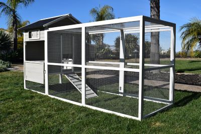 Image showing  Fontana Chicken Coop, 4 to 6 Chicken Capacity
