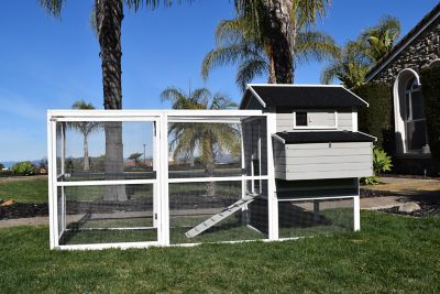 Image showing 6 th Rugged Ranch Fontana Chicken Coop, 4 to 6 Chicken Capacity