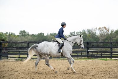 Image showing 5 th Kerrits Women's Crossover II Knee-Patch Riding Breeches