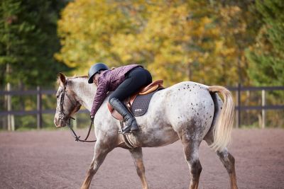 Image showing  Kids' Sit Tight Wind Pro Knee-Patch Riding Tights