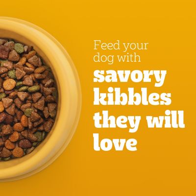 Image showing  Adult Small Breed Dry Dog Food, Chicken and Steak, 3.5 lb.