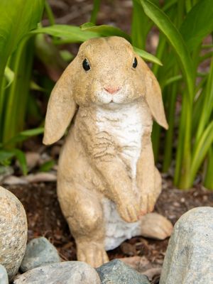 Image showing  Curious Rabbit Garden Statue, 4.75 in. x 5 in. x 9.25 in.