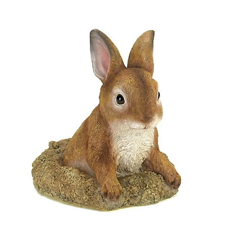 Design Imports Curious Bunny Garden Decor, 5.5 in. x 5.5 in. x 6.25 in., 0.8 lb.