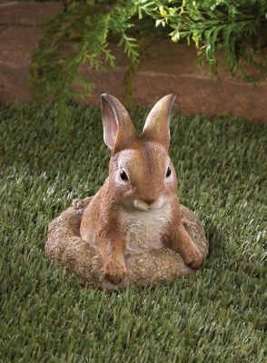Image showing  Curious Bunny Garden Decor, 5.5 in. x 5.5 in. x 6.25 in., 0.8 lb.