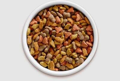 Image showing  Original Choice Adult Ocean Fish, Chicken, Salmon and Turkey Recipe Dry Cat Food