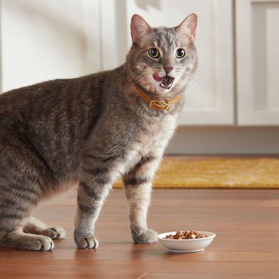 Image showing 5 th Meow Mix Original Choice Cat Food