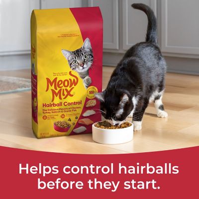 Image showing  Hairball Control Dry Cat Food