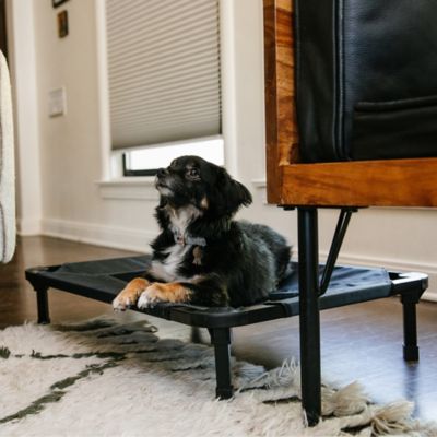 Image showing  Comfort Elevated Cot Pet Bed, Gray