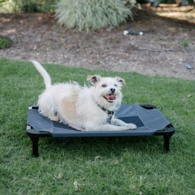 Image showing 8 th Lucky Dog Comfort Elevated Cot Pet Bed, Gray