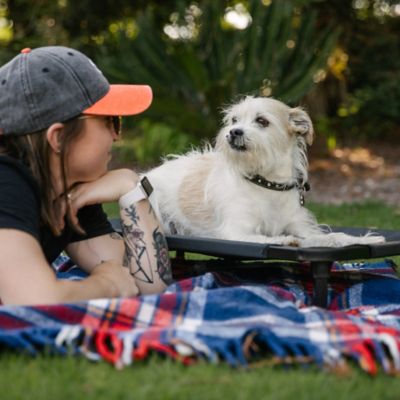 Image showing 9 th Lucky Dog Comfort Elevated Cot Pet Bed, Gray