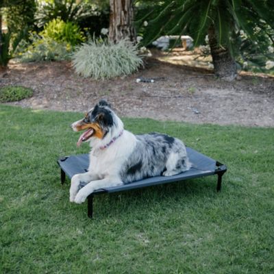 Image showing  Comfort Elevated Cot Pet Bed, Gray