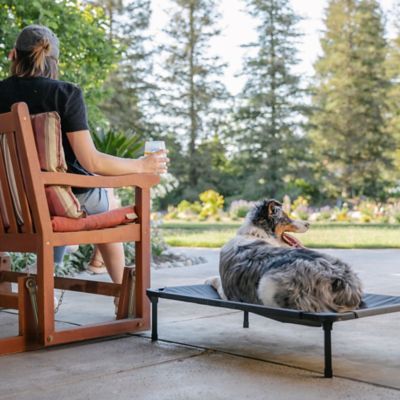 Image showing 8 th Lucky Dog Comfort Elevated Cot Pet Bed, Gray