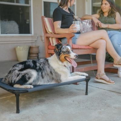 Image showing 9 th Lucky Dog Comfort Elevated Cot Pet Bed, Gray