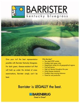 Image showing  50 lb. 25,000 sq. ft. Barrister Kentucky Bluegrass Seed