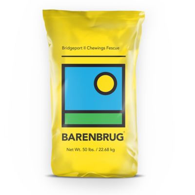 Barenbrug 50 lb. 10,000 sq. ft. Bridgeport II Chewings Fescue Grass Seed