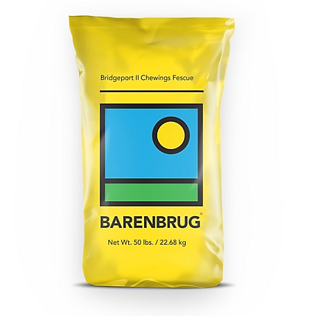 Barenbrug 50 lb. Bridgeport II Chewings Fescue Grass Seed